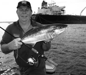 The author caught this 66cm kingfish in Botany Bay on a soft plastic.
